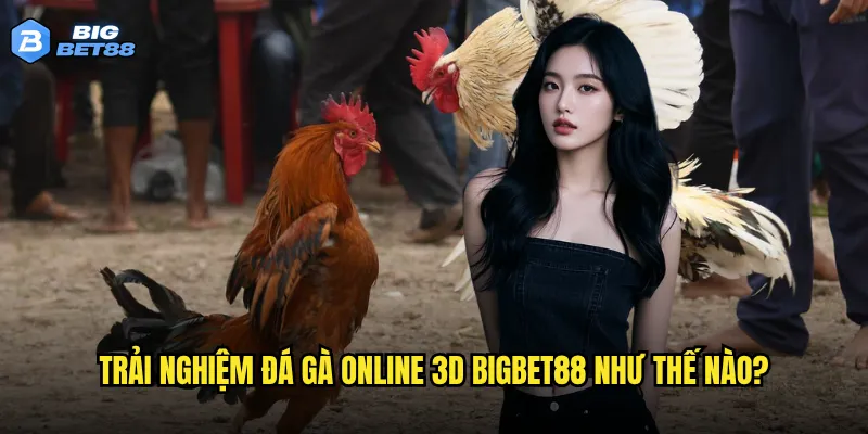 Trải nghiệm đá gà online 3D Bigbet88 như thế nào?
