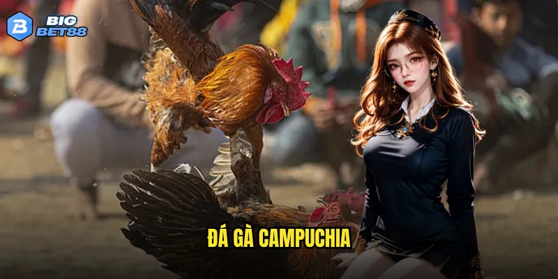 đá gà Campuchia