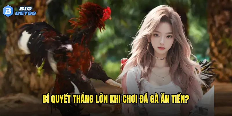 Bí quyết thắng lớn khi chơi đá gà ăn tiền?