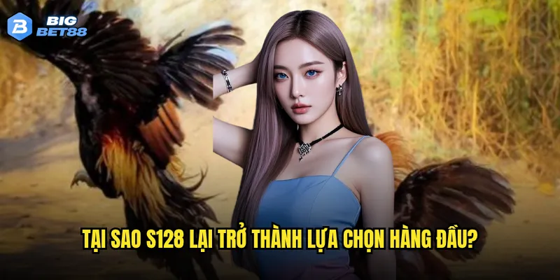 Đá gà S128 trên Bigbet88 có phải là sự lựa chọn tối ưu cho các cao thủ? 3 Tại sao S128 lại trở thành lựa chọn hàng đầu?