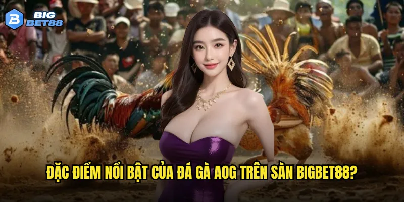 Đặc điểm nổi bật của đá gà AOG trên sàn Bigbet88?