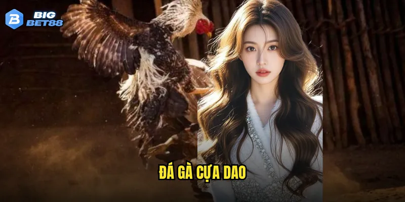 đá gà cựa dao