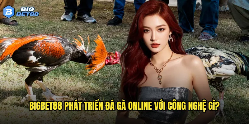 Đá gà online tại Bigbet88 có thể thay thế hoàn toàn sân đá truyền thống? 2 Bigbet88 phát triển đá gà online với công nghệ gì?