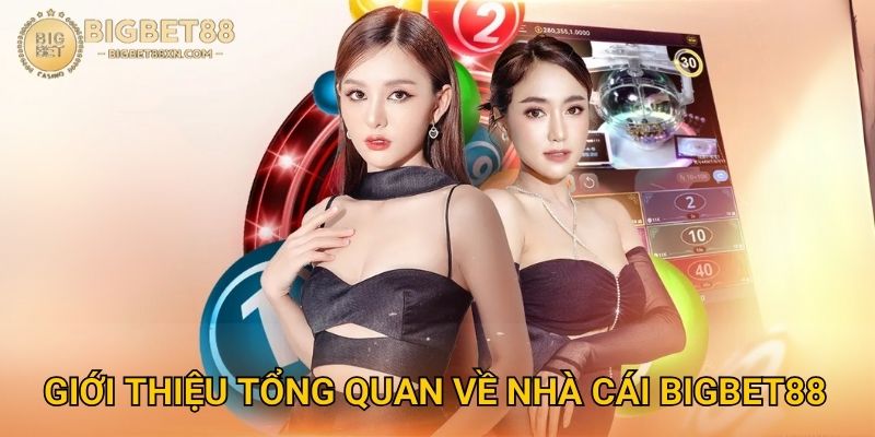 Giới Thiệu Tổng Quan Về Nhà Cái Bigbet88